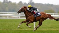Ascot Races