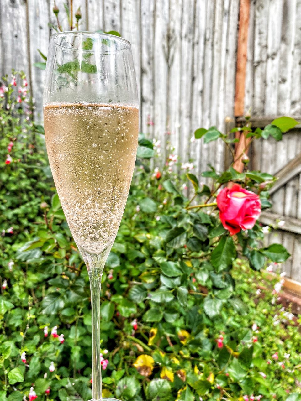Rosé Prosecco