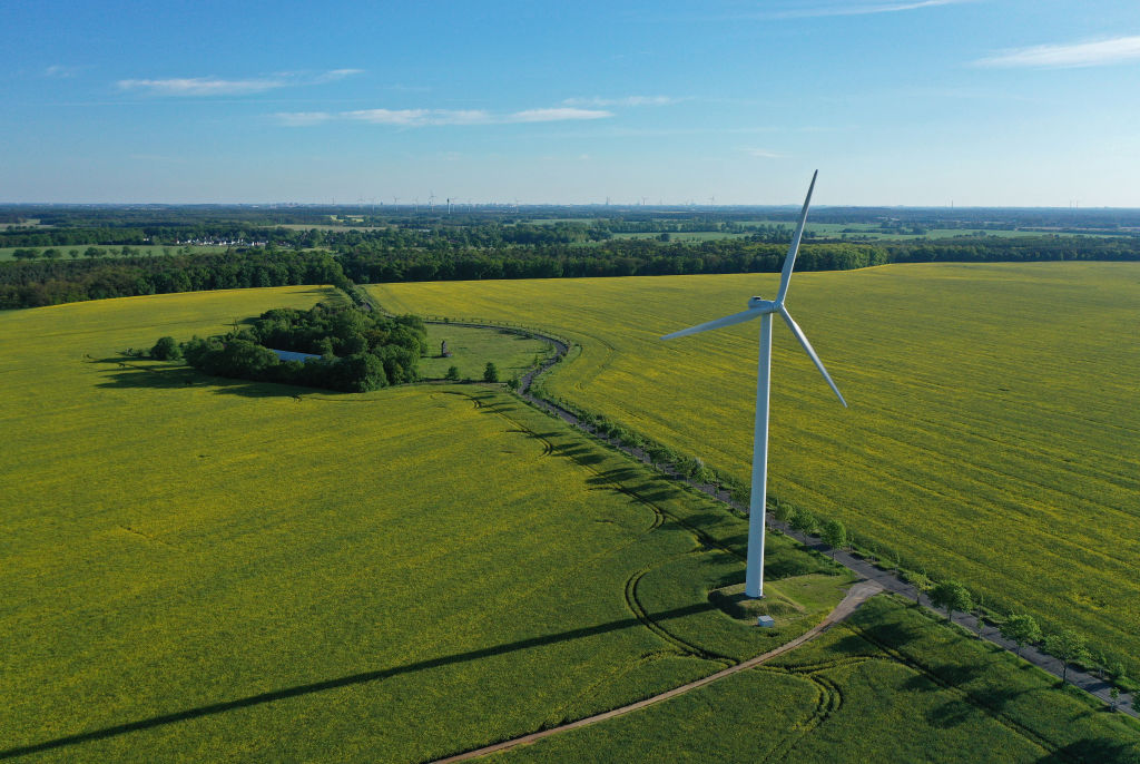 Big fans: Wind powers half of UK's energy needs with new record
