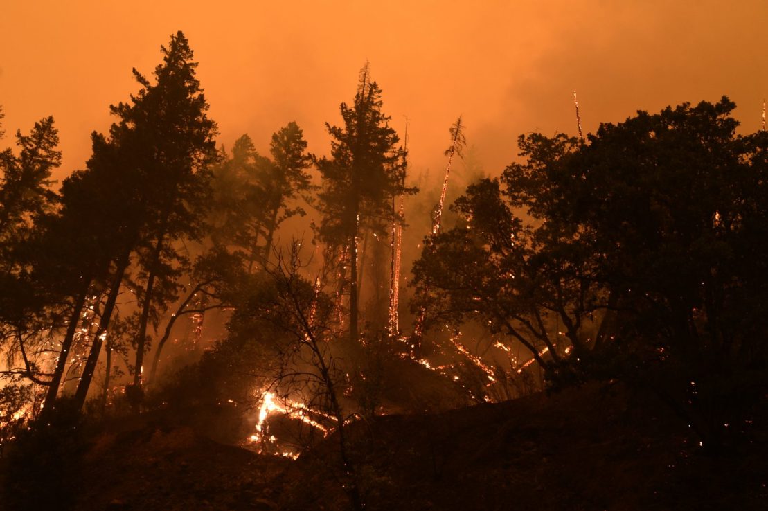 Forest burns in California, United States on August 04, 2021. (Photo by Neal Waters/Anadolu Agency via Getty Images)