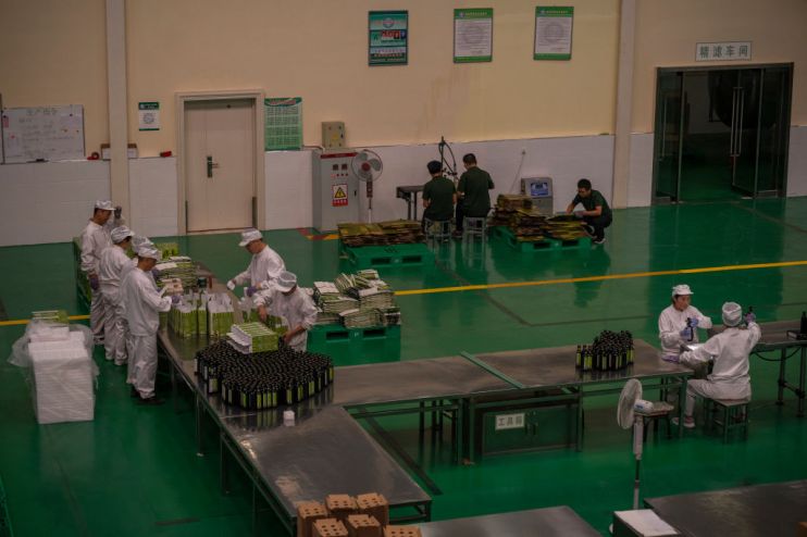 An Outlook On The Olive Oil Industry Of Gansu Province