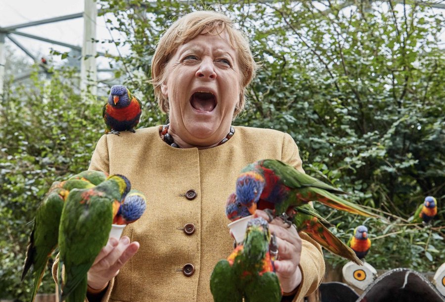 Angela Merkel on Thursday