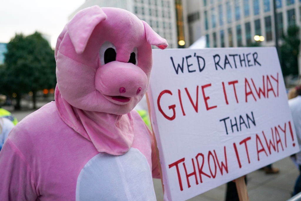 Pig farmers protest outside the Conservative Party Conference yesterday in an effort to get the government to take the severe butcher shortage more seriously. (Photo by Ian Forsyth/Getty Images)