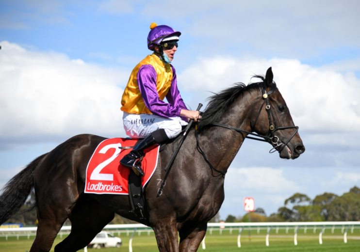 Melbourne Racing: Sandown