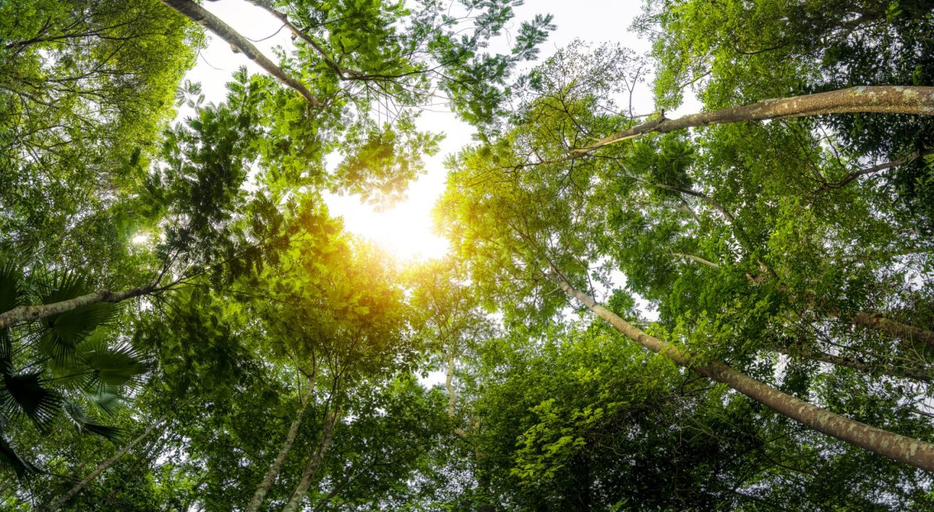 Over 2,500 global organisations publicly support recommendations by the Task Force on Climate-related Financial DIsclosures (TFCD) - which are voluntary - but just over half of the companies reviewed actually disclosed their climate-related risks and opportunities, according to the latest Financial Stability Board report.