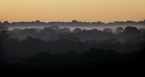 Peruvian Gold Mining Rush Brings Social And Environmental Stresses To Amazon