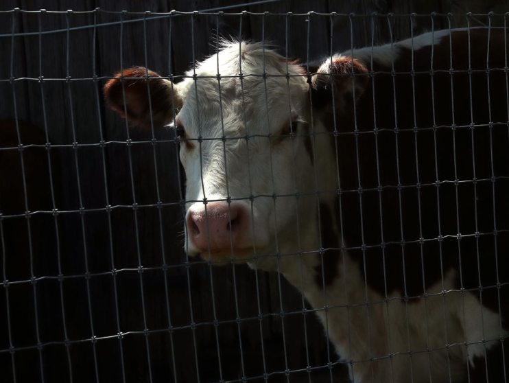 Major Cities In The U.S. Adjust To Restrictive Coronavirus Measures - May 4, 2020