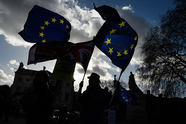 Pro-Europe Protesters Wave EU Flags Outside Parliament