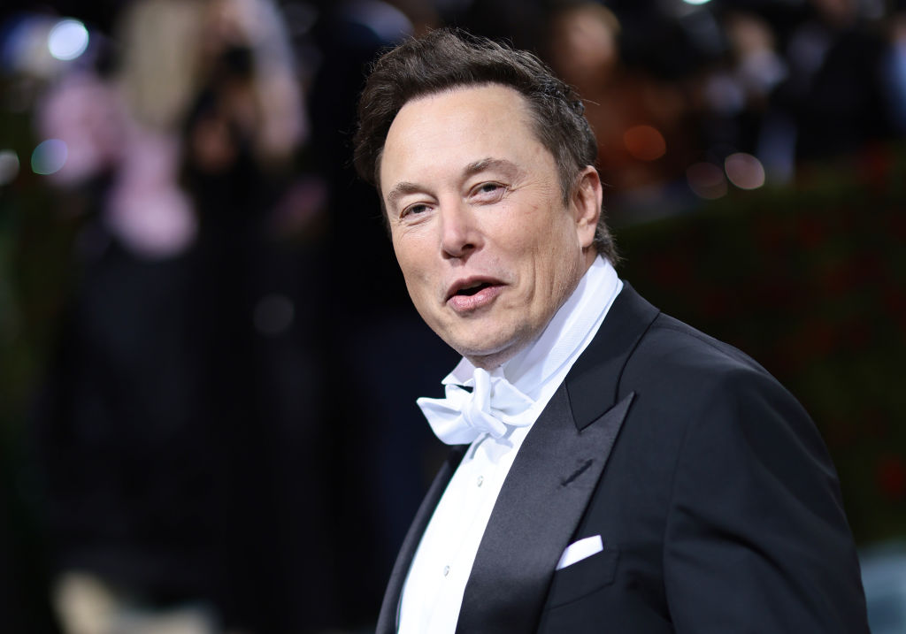 Elon Musk has said he would reverse Donald Trump's Twitter ban. (Photo by Dimitrios Kambouris/Getty Images for The Met Museum/Vogue)