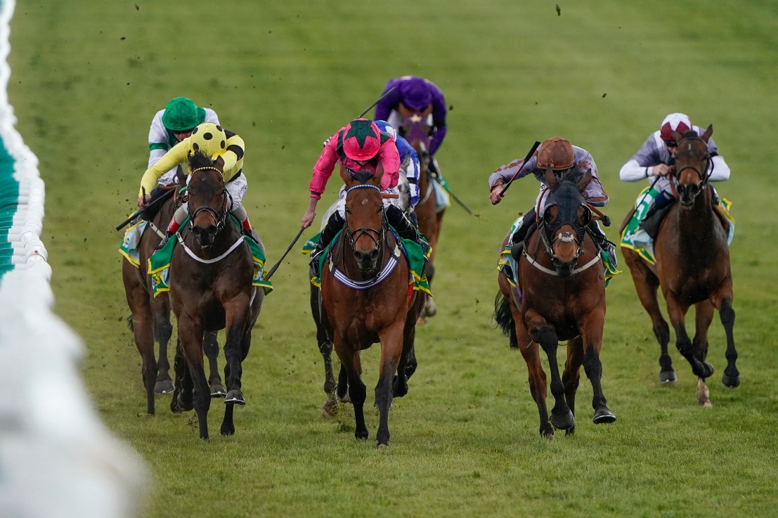 Summerghand (centre right) has won over £600,000 in prize money