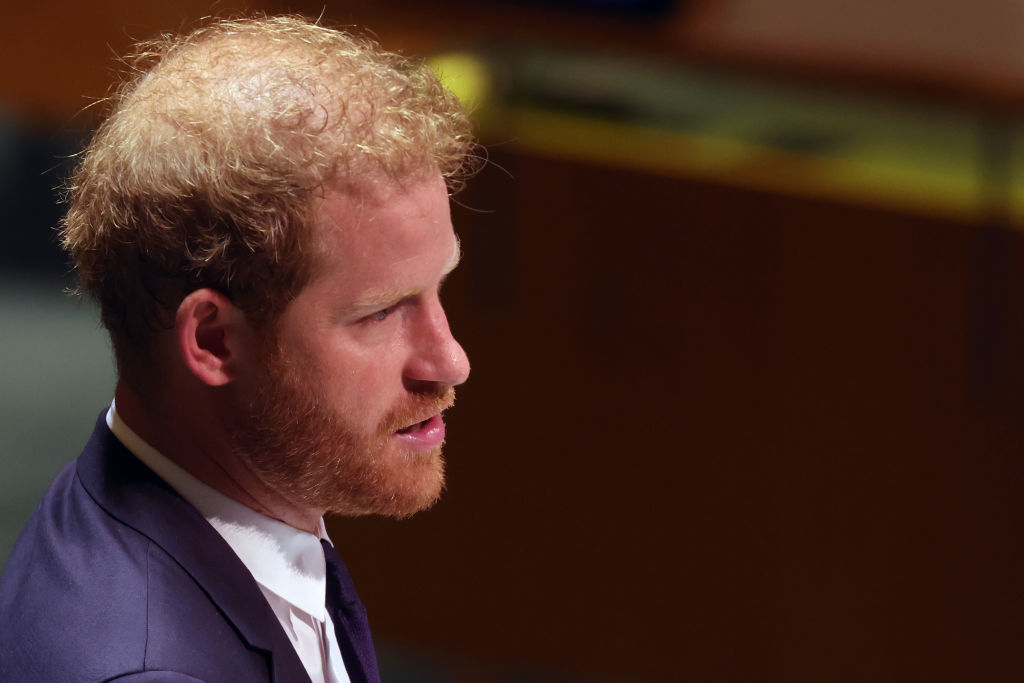 Britain's Prince Harry Delivers An Address At The U.N. General Assembly