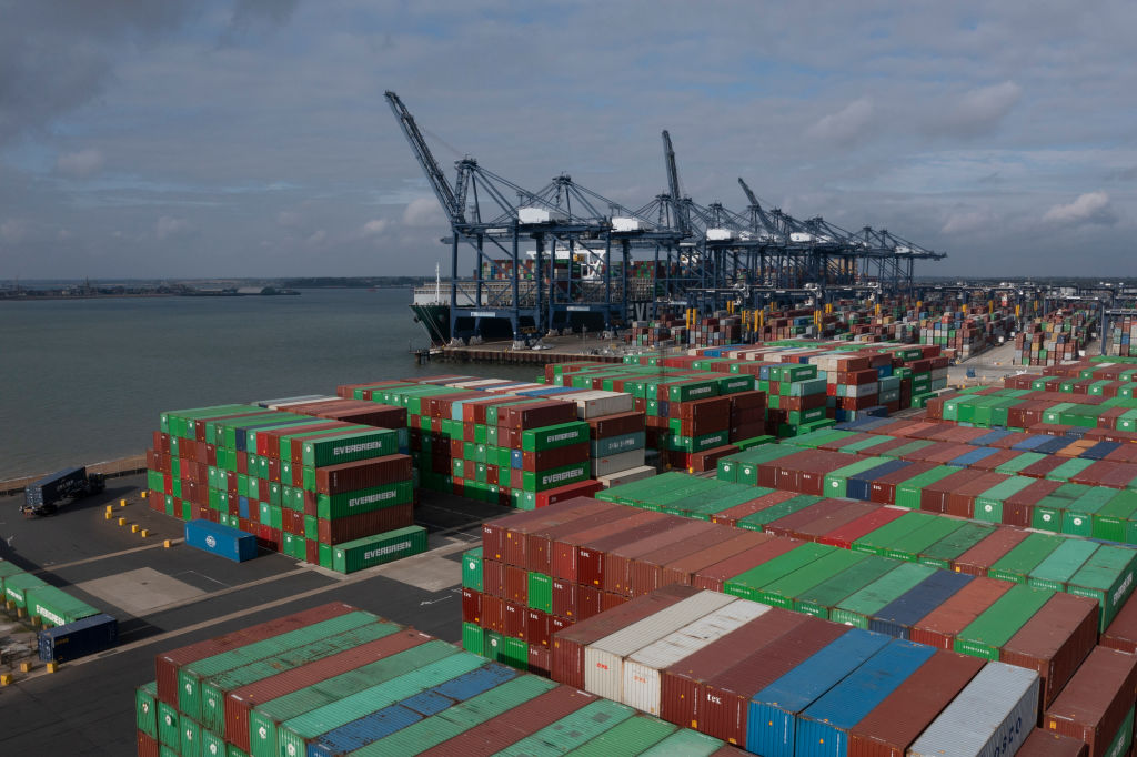A fresh wave of strikes is set to hit the port of Felixstowe later this month, with workers walking out from 27 September to 5 October. (Photo by Dan Kitwood/Getty Images)