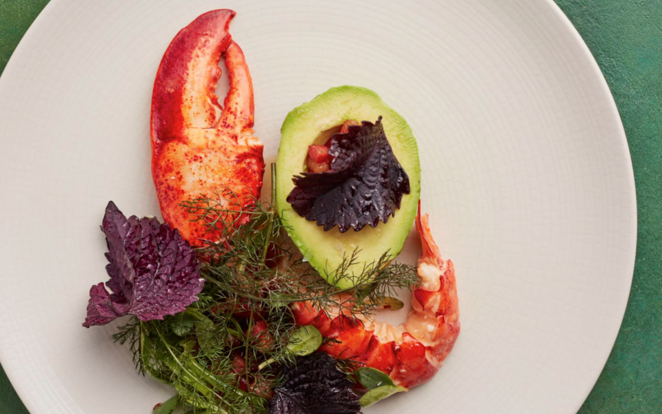 Lobster and avocado at M restaurant