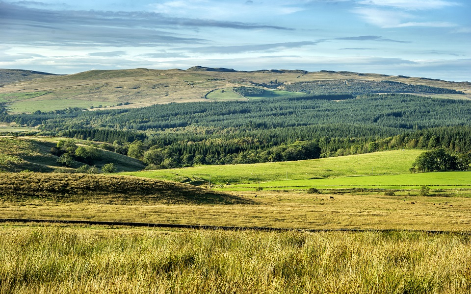 A Lord of the Rings pilgrimage to The Ribble Valley