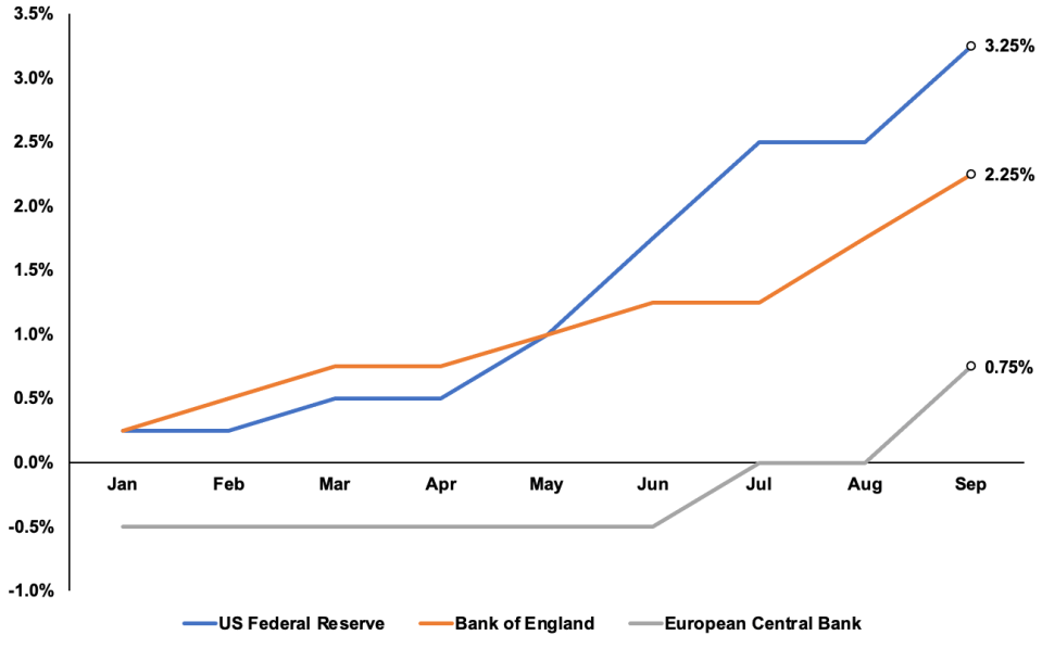 Central banks have been raising rates rapidly this, led by the US Federal Reserve and Bank of England