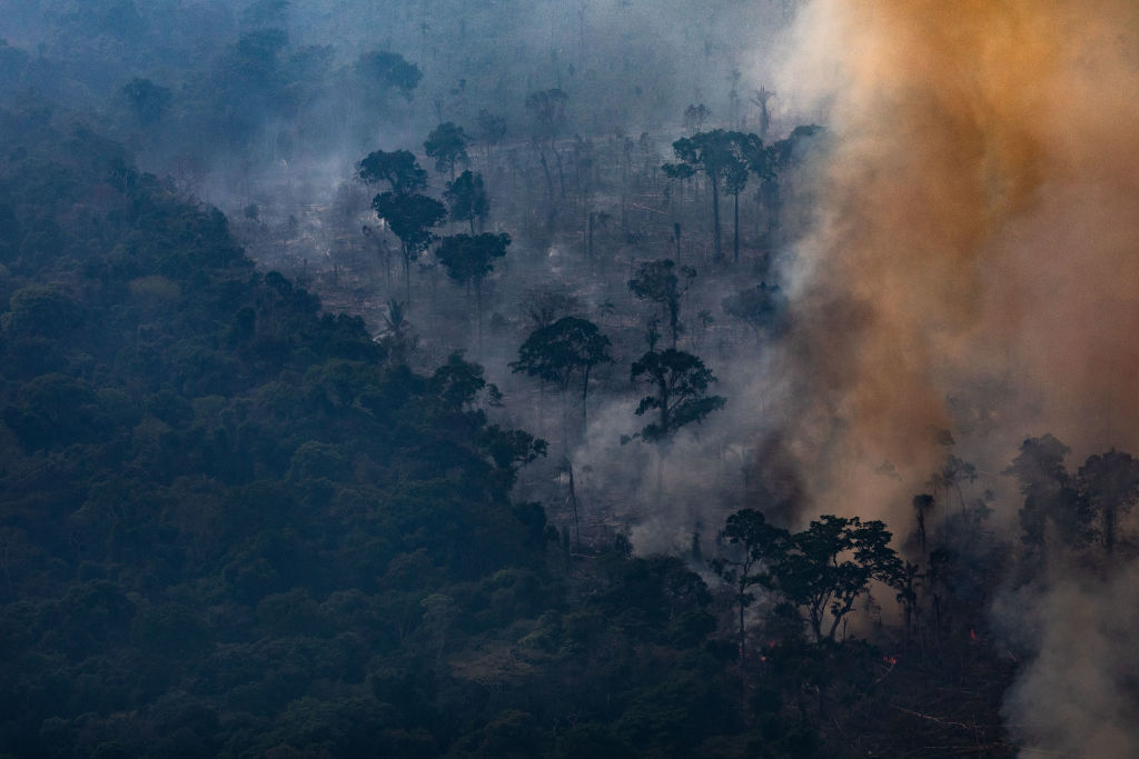 Global Forestry Investment frauded their victims telling them they were investing in the protection of the Amazon rainforest.(Photo by Victor Moriyama/Getty Images)