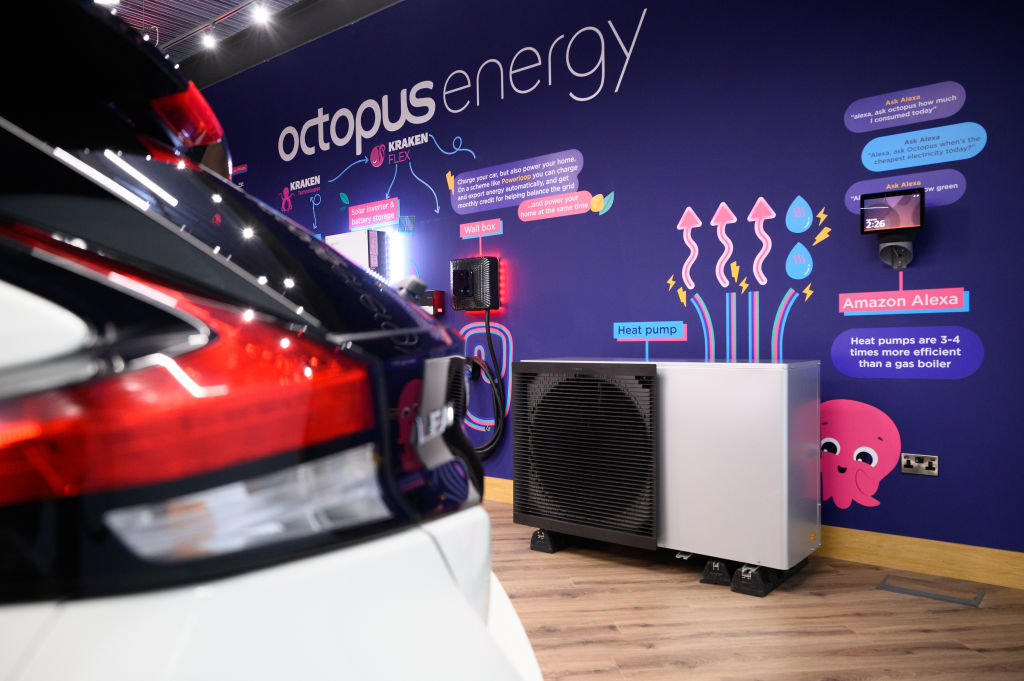 Octopus and Centrica are now offering heat pumps at £2,500 to £3,000 (Photo by Leon Neal/Getty Images)