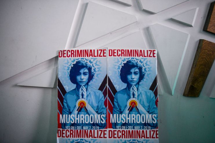 Denver Votes On Nation's First Referendum To Decriminalize Hallucinogenic Mushrooms