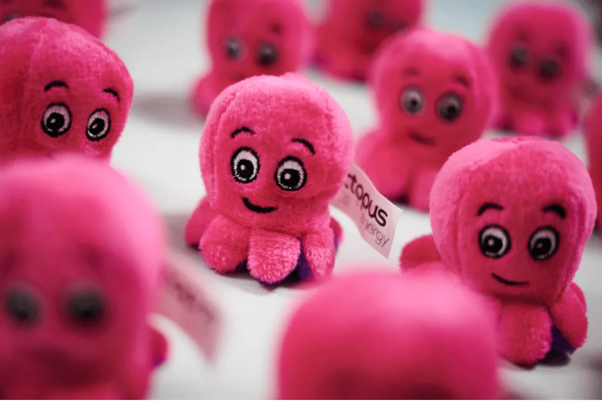 Octopus hits back at challenge to Bulb deal arguing it was more 'nimble