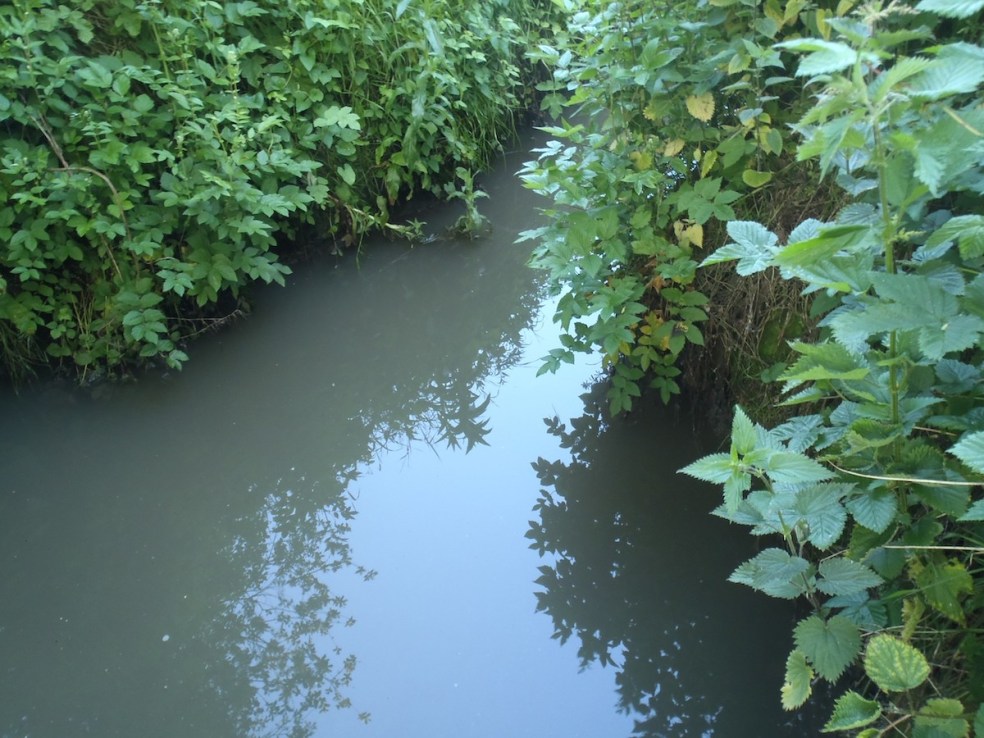 Toxic chemicals that remain in ecosystems for decades pollute every stretch of English rivers.
