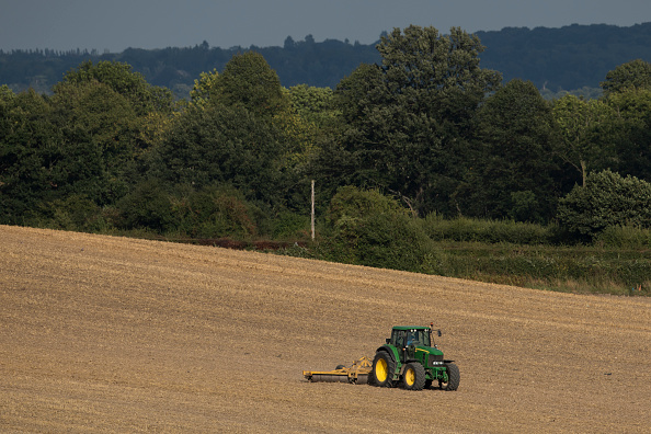 UK Farming Facing Uncertain Future As Brexit Negotiations Continue