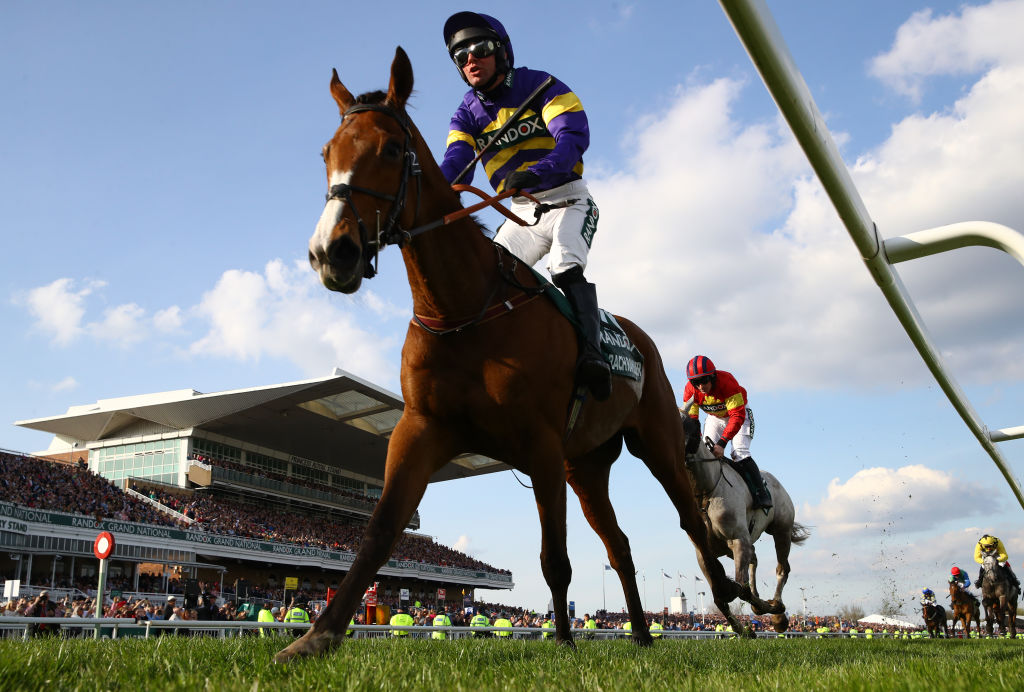The British Horseracing Authority has &ldquo;robustly condemned the reckless and potentially harmful actions&rdquo; of the protestors who disrupted the Grand National.