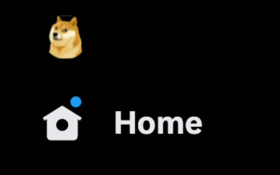 How the DogeCoin dog replaced the Twitter logo