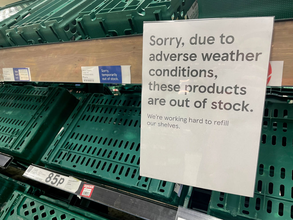 Bad Weather To Blame For Fresh Veg Shortage