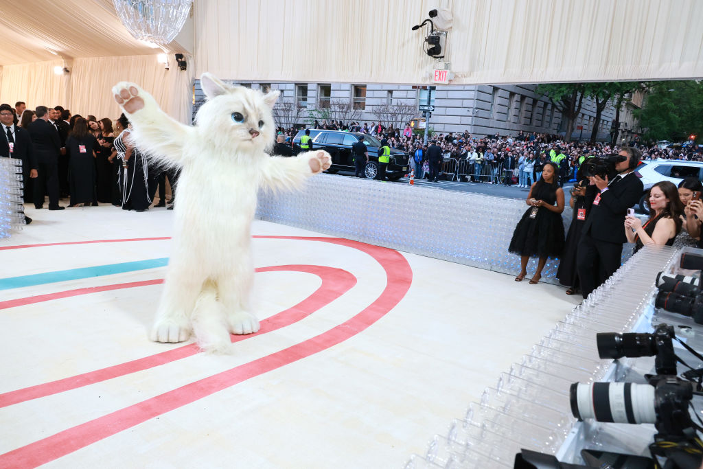 The Met Gala is an event in New York City where the stars of the globe come together to raise money for the Metropolitan Museum.