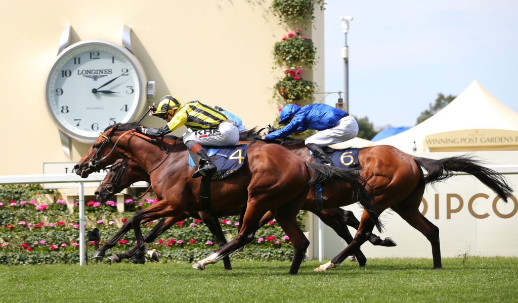 Roger Varian has hopes of Eldar Eldarov notching another win at Royal Ascot in the Ascot Gold Cup on Thursday