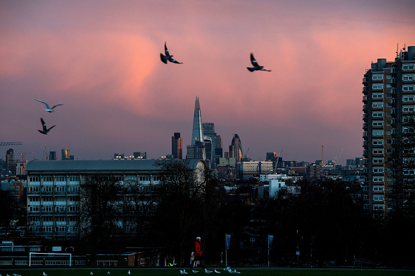 LONDON, UNITED KINGDOM - JANUARY 13: The Shard, Gherkin and other skyscrapers are seen in the distance as a woman walks her dog in Brockwell Park as the sun rises on January 13, 2017 in London, United Kingdom. The Met Office has issued a yellow 'be aware' warning for much of the country, as snow and high winds are expected to cause disruption until late on Friday.  (Photo by Chris J Ratcliffe/Getty Images)