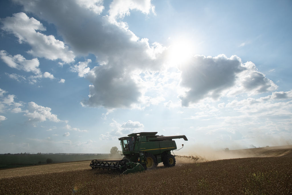 Russia has exited the Ukraine grain deal. (Photo by Alexey Furman/Getty Images)