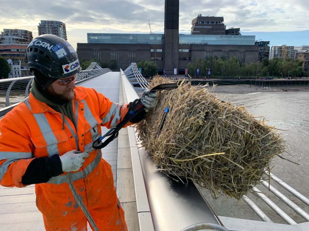 Urgent repairs and cleaning on the Millennium Bridge have triggered an ancient by-law - a bale of straw has been hung from the famous bridge.