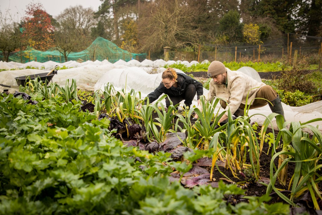 Sodexo has told its suppliers they must demonstrate tangible progress towards net zero by 2030 if they want to keep their contract.