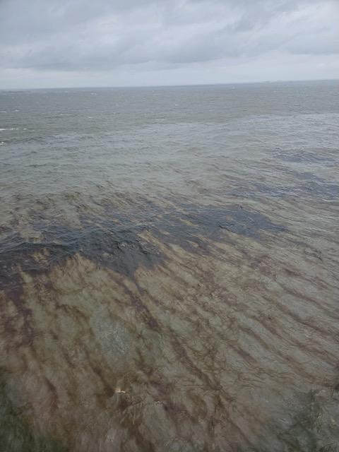 Picture of the oil spill from the Center for Biological Diversity/US Coast Guard on X/Twitter.