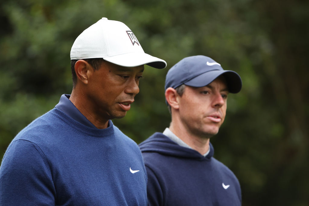 The tech-infused TGL golf league spearheaded by Rory McIlroy and Tiger Woods has been delayed by a year and will not take place until 2025.