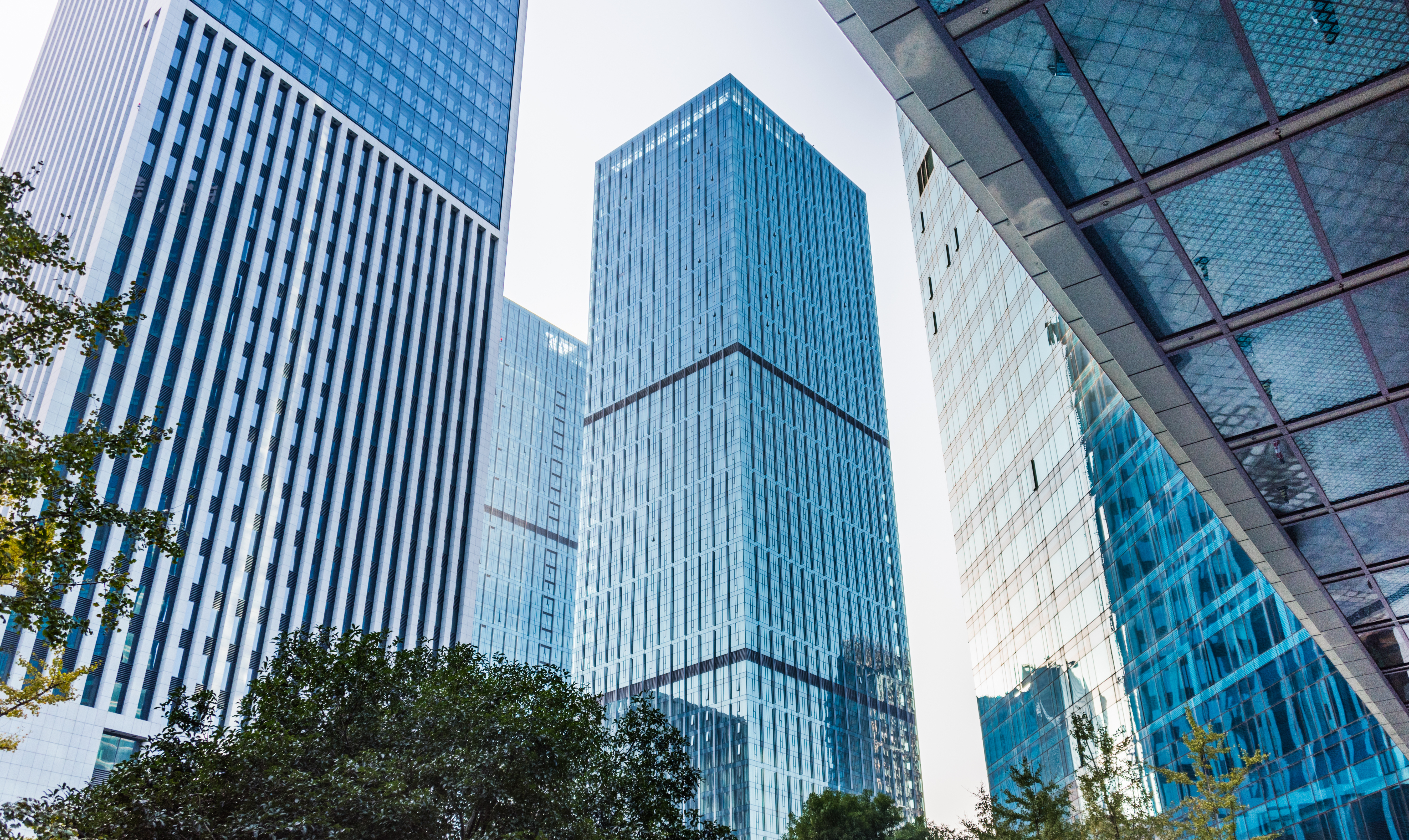 Regulation or Innovation? The Driving Forces of Change in Sustainable Finance - Vimarsana News