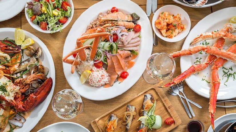 Sykes Seafood has reported its latest results.