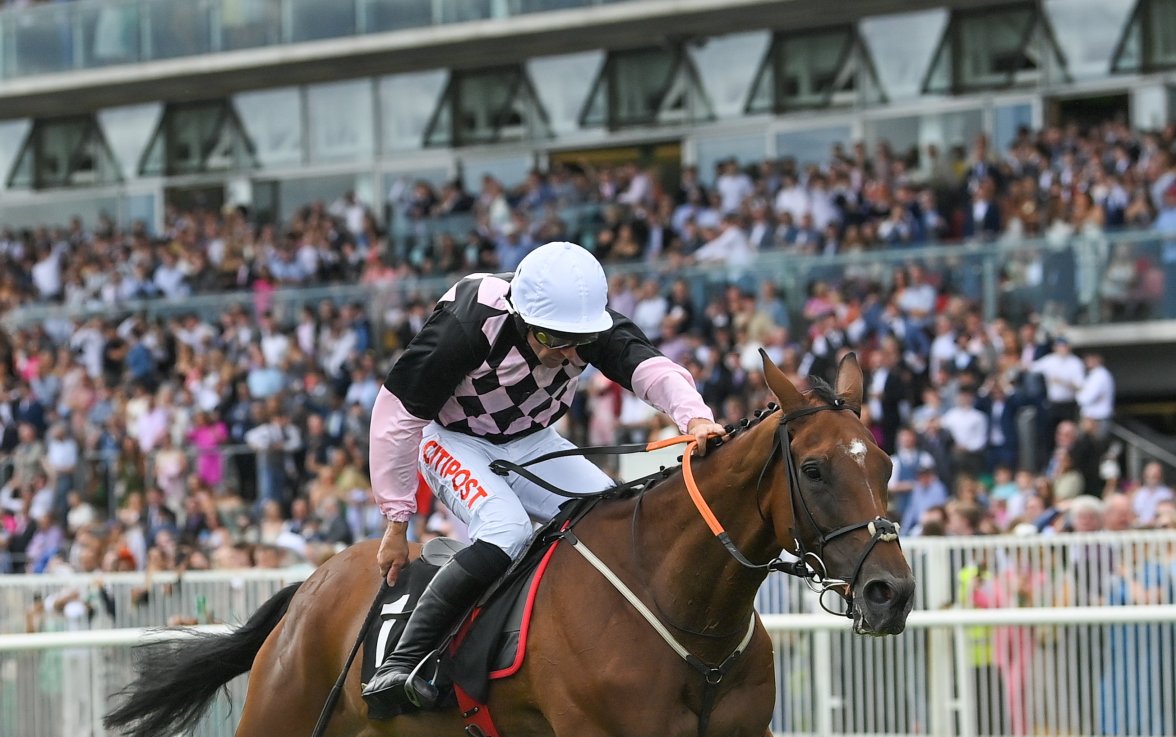 Salvador Ziggy finished second in last year's Pertemps Final