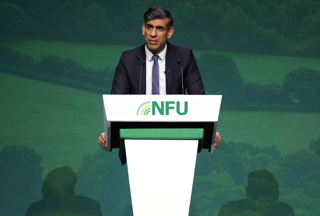 Rishi Sunak addresses delegates during the National Farmers Union's annual conference (Photo by Adrian Dennis - WPA Pool/Getty Images)