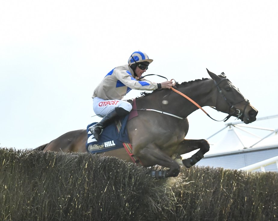 Last year’s Champion Chase runner-up Captain Guinness is back for more