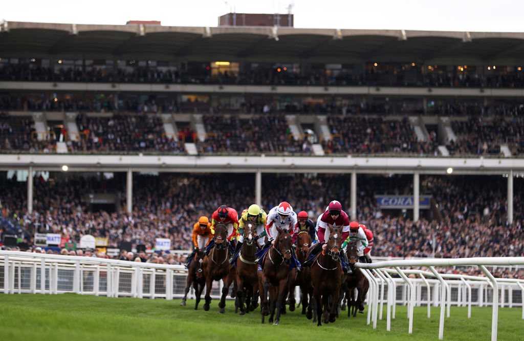 Sport's selling point is unpredictably and horse racing has it in spades