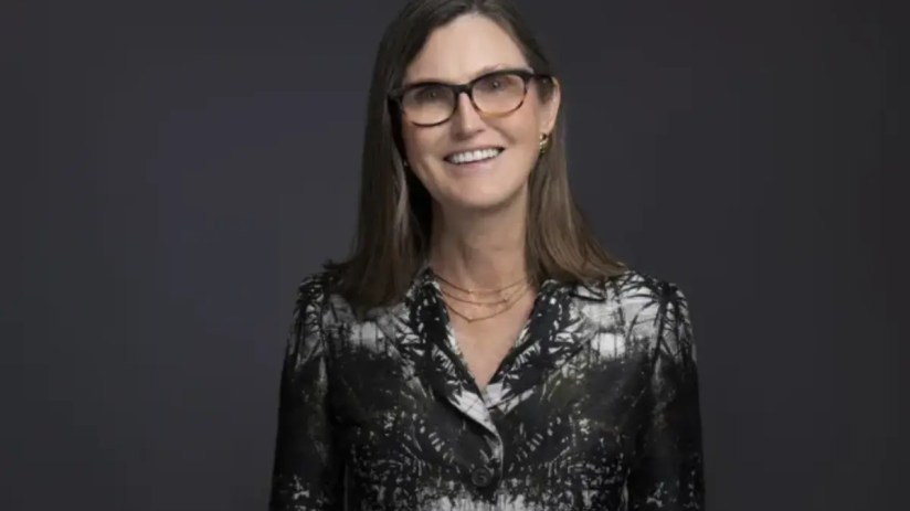 Tech investor Cathie Wood has warned that the fenzy around artificial intelligence that has boosted US tech stocks could leave investors scorched.