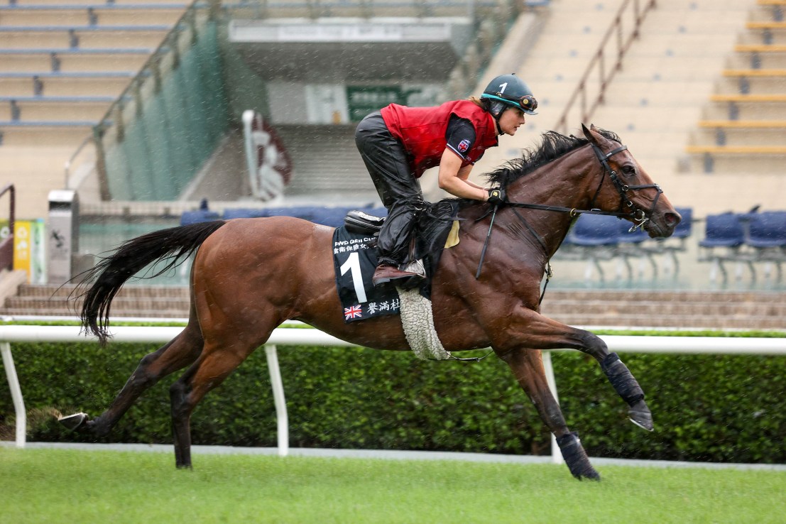 Dubai Honour works on the Sha Tin track under regular work rider Issy Paul