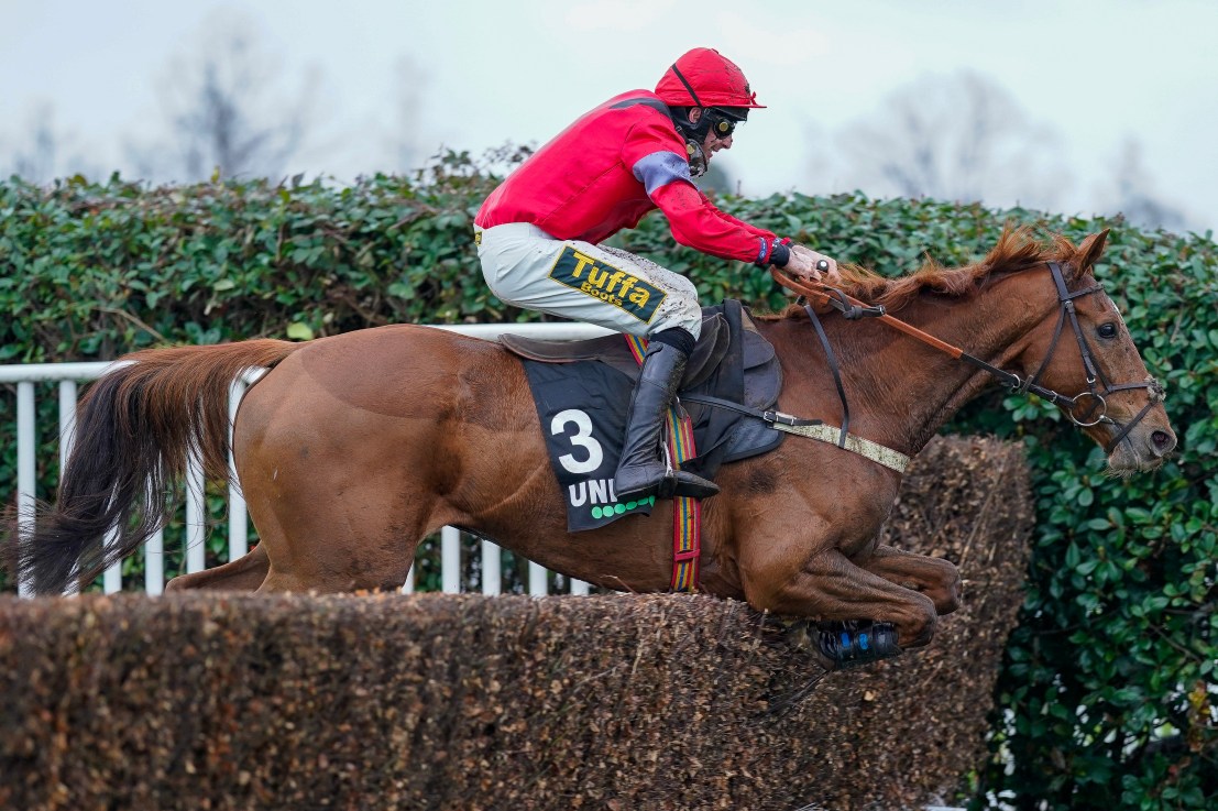 Certainly Red finished seventh in the bet365 Gold Cup last season