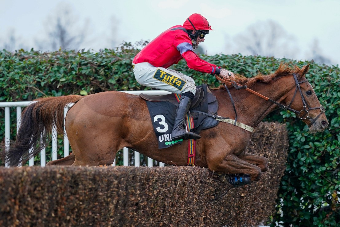 Red Certainly no 50/1 shot in the Sandown feature