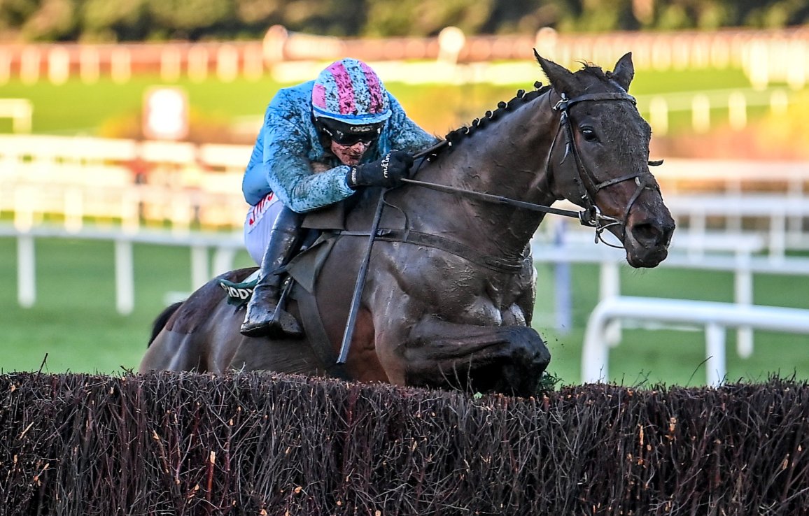Meetingofthewaters was a good winner at Leopardstown over Christmas