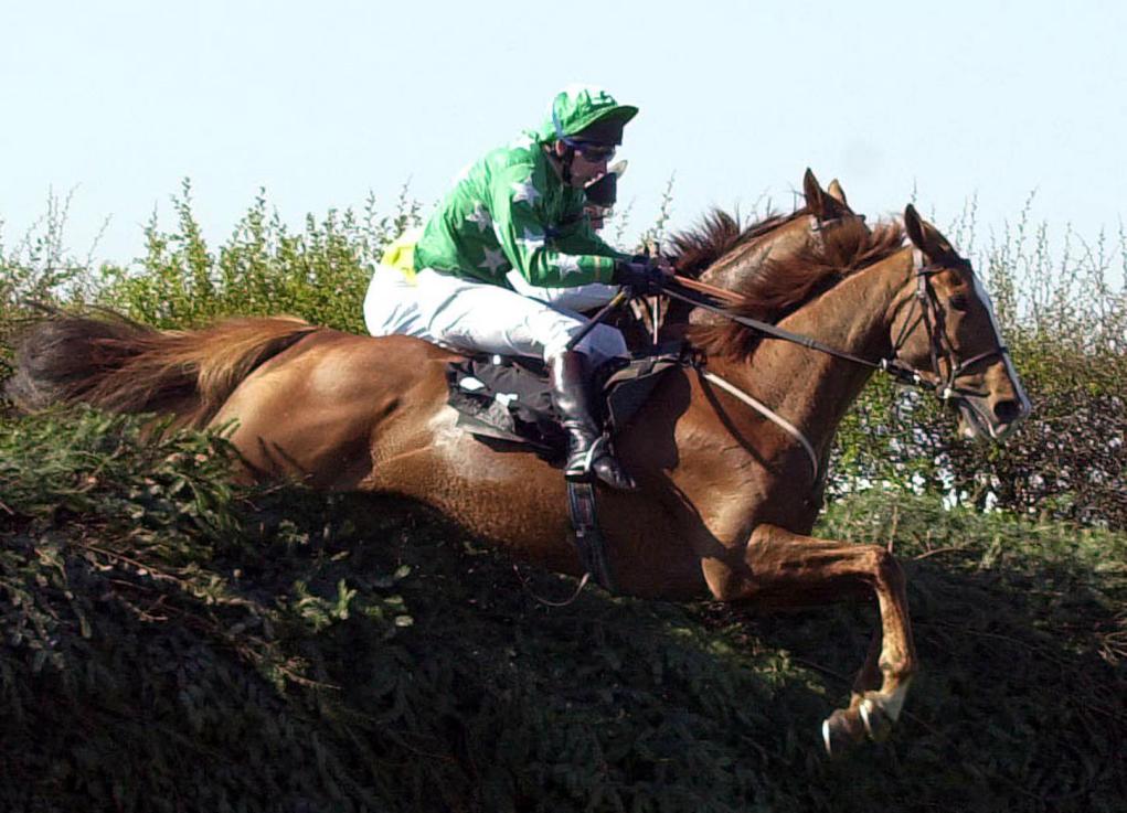 Jim Culloty on Bindaree (green) jumps the fence at Bechers Brook on the way to winning the Grand National at Aintree