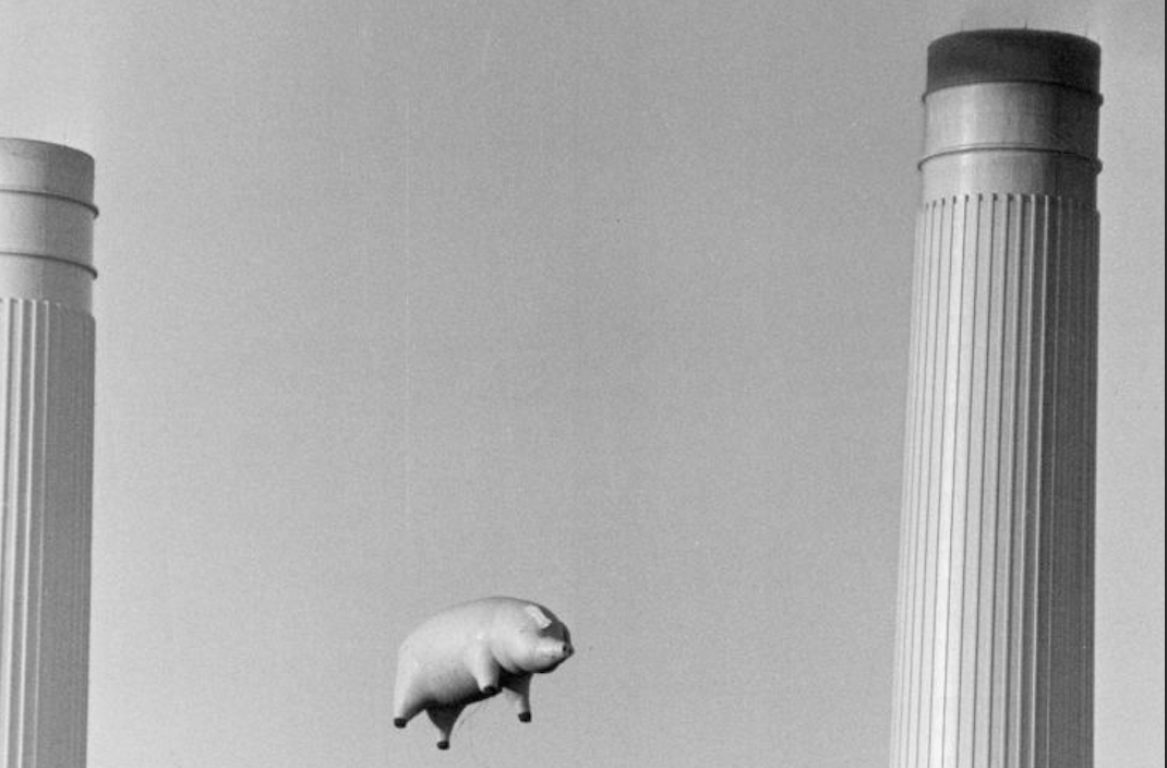 A pig suspended between the arms of Battersea Power Station