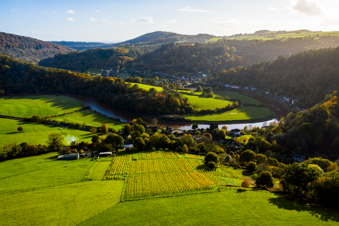 Wales' wine scene is exploding. Adam Bloodworth went to meet the makers